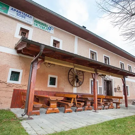 Lovec Cerkno